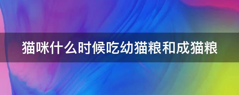 猫咪什么时候吃幼猫粮和成猫粮 猫咪从什么时候开始吃猫粮