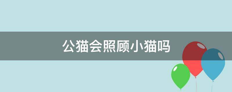 公猫会照顾小猫吗 公猫会照顾小猫吗知乎