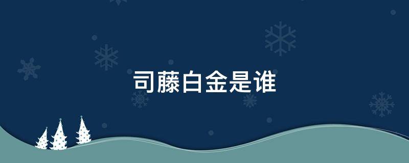 司藤白金是谁 司藤白金是谁的替身