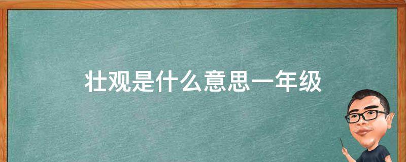 壮观是什么意思一年级（壮观一句话一年级）