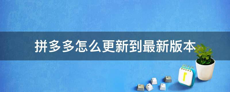 拼多多怎么更新到最新版本（拼多多怎样更新最新版本）