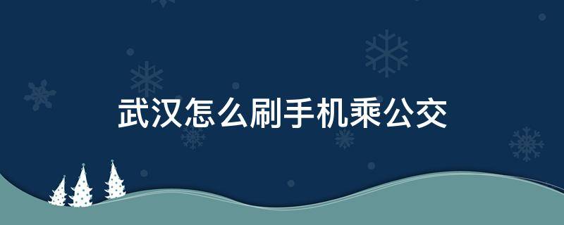 武汉怎么刷手机乘公交 武汉怎么用手机刷公交