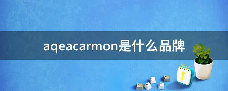 aqeacarmon是什么品牌（AQEACARMON是什么品牌）