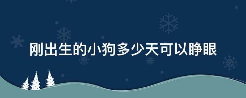 刚出生的小狗多少天可以睁眼 小狗出生几天才能睁眼