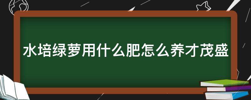 水培绿萝用什么肥怎么养才茂盛 水培绿萝用什么肥怎么养才茂盛呢