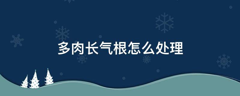 多肉长气根怎么处理（多肉植物长气根处理方法）