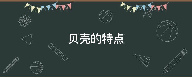 贝壳的特点 贝的故事贝壳的特点