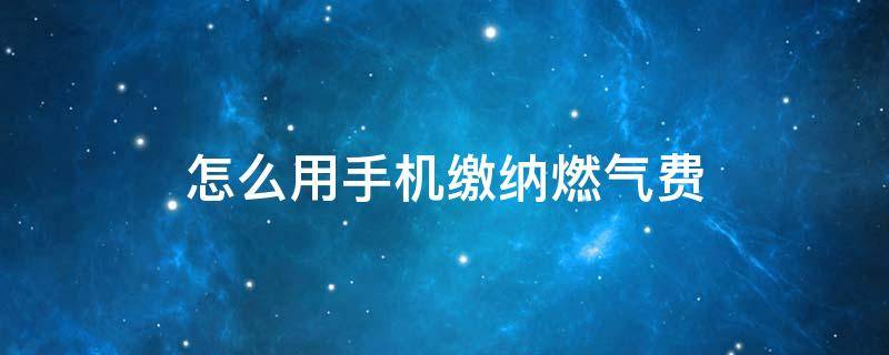 怎么用手机缴纳燃气费 在手机上怎样交燃气费