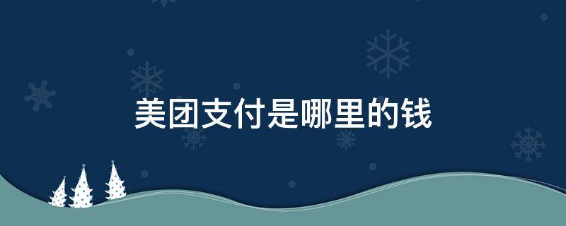 美团支付是哪里的钱（美团支付是哪里的钱怎么看）