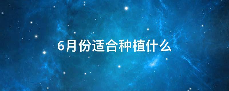 6月份适合种植什么（6月份适合种植什么农作物）