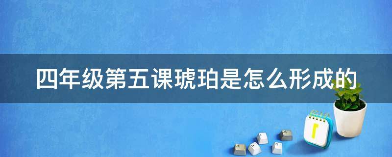 四年级第五课琥珀是怎么形成的（四年级上册琥珀课文琥珀是怎样形成的）