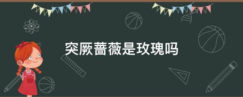 突厥蔷薇是玫瑰吗（突厥蔷薇是玫瑰的一种吗）