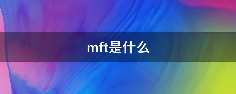 mft是什么（mft是什么项目）