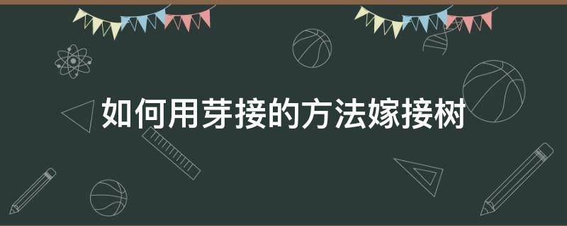 如何用芽接的方法嫁接树（嫁接树怎样接）