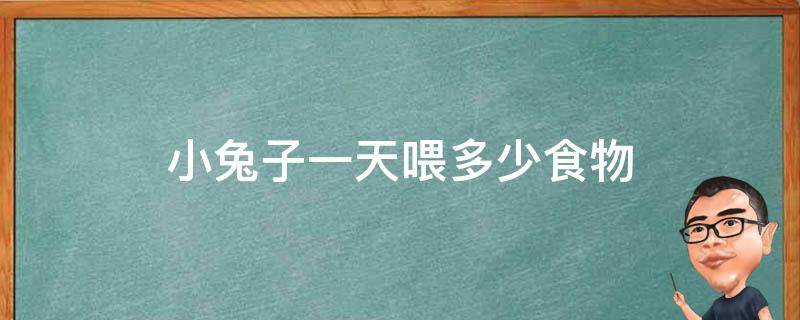 小兔子一天喂多少食物 小兔子一天喂多少次