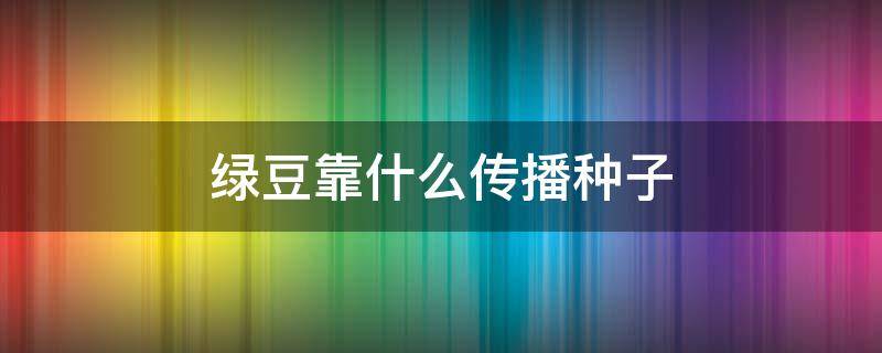 绿豆靠什么传播种子 绿豆是靠什么方式传播种子的