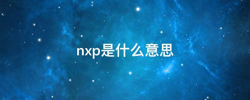 nxp是什么意思 Nx是什么意思