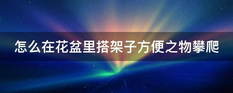 怎么在花盆里搭架子方便之物攀爬（怎么在花盆里搭架子方便之物攀爬）