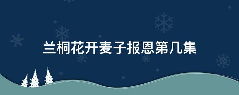 兰桐花开麦子报恩第几集（兰桐花开麦子结局）