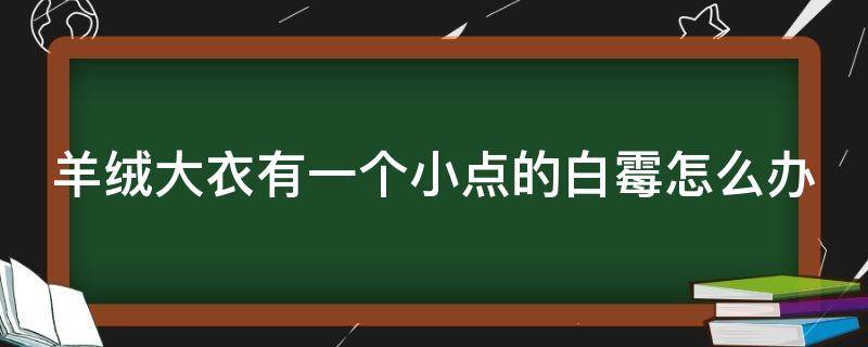 羊绒大衣有一个小点的白霉怎么办（羊绒大衣有一块发白了怎么办）