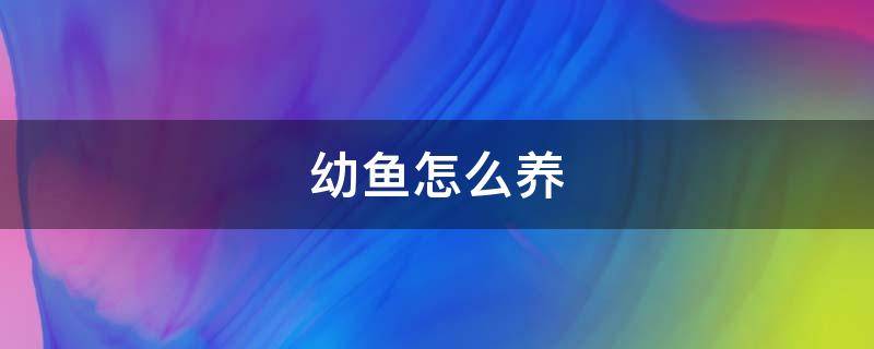 幼鱼怎么养（迷你鹦鹉鱼幼鱼怎么养）