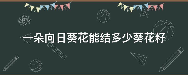 一朵向日葵花能结多少葵花籽 一朵向日葵花能结多少葵花籽?为什么