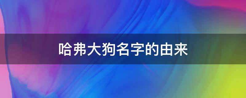哈弗大狗名字的由来（哈弗大狗命名官方解释）