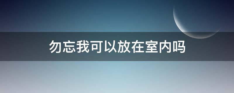 勿忘我可以放在室内吗 勿忘我可以摆在家里吗