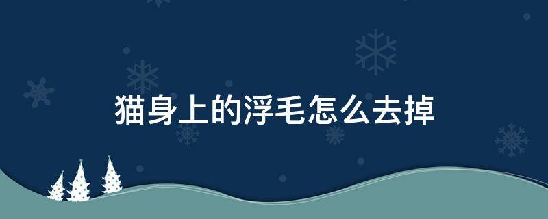 猫身上的浮毛怎么去掉（猫身上的浮毛怎么办）