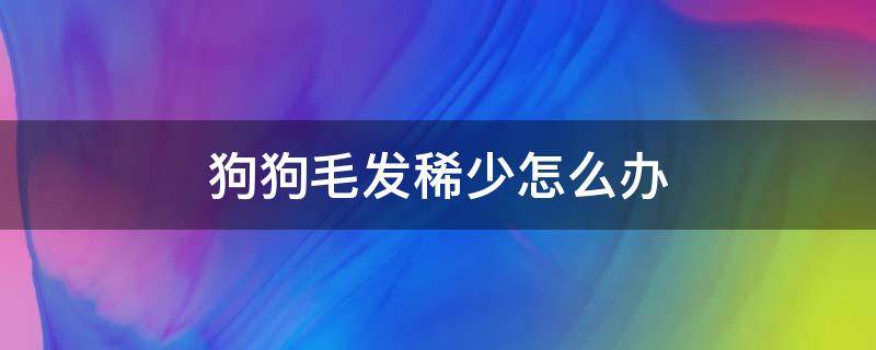 狗狗毛发稀少怎么办 狗狗毛发稀少怎么回事