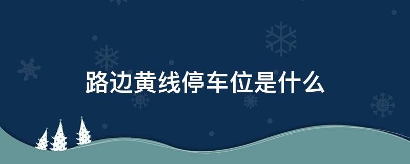 路边黄线停车位是什么（路边停车黄色线车位是什么车位）