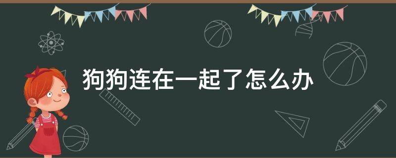 狗狗连在一起了怎么办 狗跟狗连在一起是什么情况