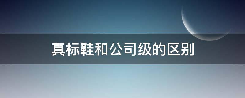 真标鞋和公司级的区别（真标鞋和公司级的区别砍价多少）