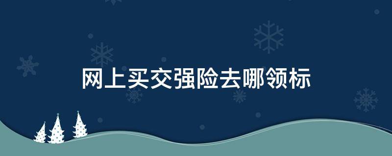 网上买交强险去哪领标（网上买交强险去哪领标为什么还要身份证）