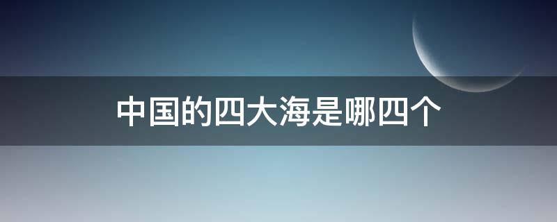 中国的四大海是哪四个（中国的四大海是哪四个地图）