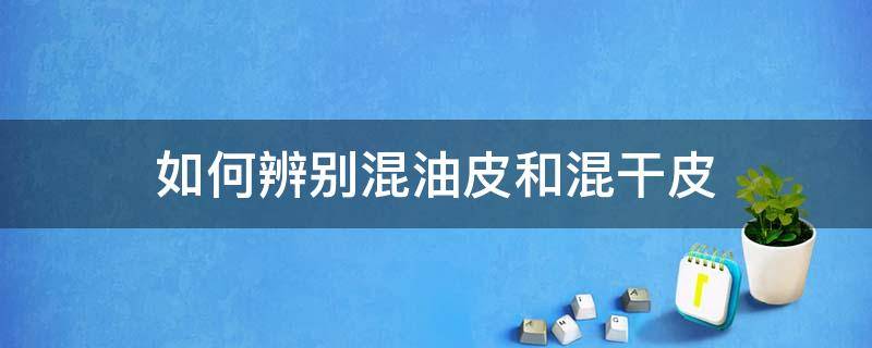 如何辨别混油皮和混干皮（怎么鉴别混油皮和混干皮）