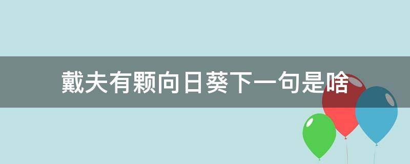 戴夫有颗向日葵下一句是啥 这是向日葵它有着