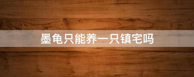 墨龟只能养一只镇宅吗 墨龟和巴西龟混养能镇宅吗?