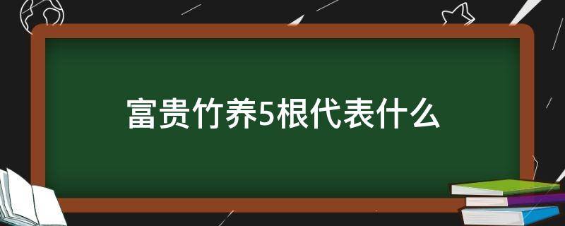 富贵竹养5根代表什么（富贵竹养4根代表什么）