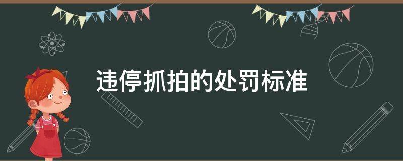 违停抓拍的处罚标准（违停抓拍规范）