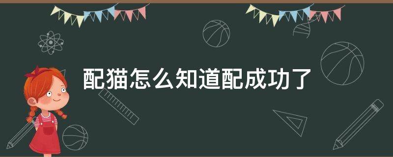 配猫怎么知道配成功了（配猫怎么知道配成功了多久生小猫）