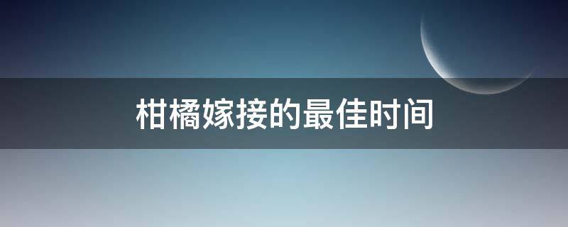 柑橘嫁接的最佳时间 柑橘嫁接的最佳时间图片和方法视频