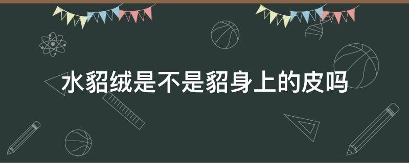 水貂绒是不是貂身上的皮吗（水貂绒是貂皮吗?）