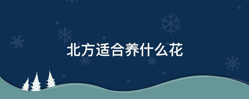 北方适合养什么花 北方适合养什么花室内