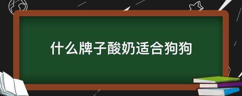 什么牌子酸奶适合狗狗 狗狗喝什么牌子的酸奶比较好