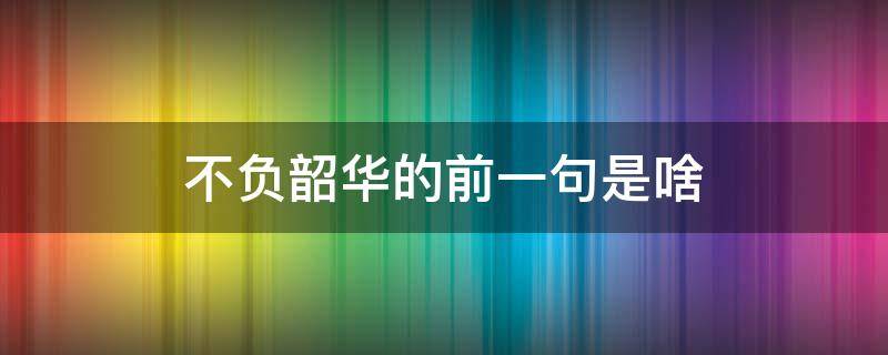 不负韶华的前一句是啥（不负韶华的上一句是什么?）