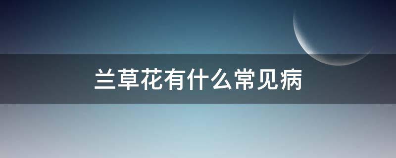 兰草花有什么常见病（兰草容易生什么病）