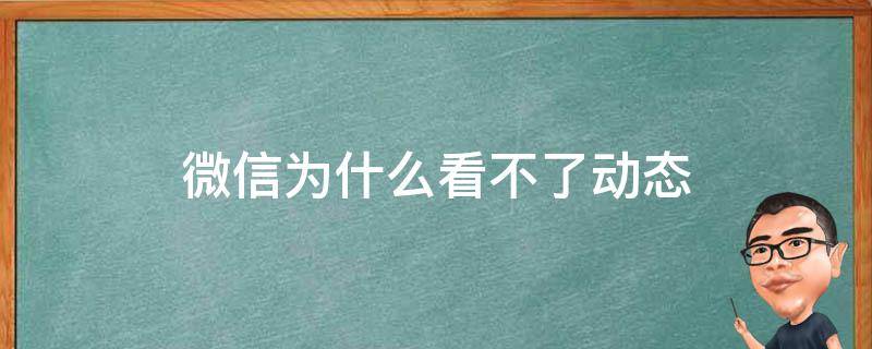 微信为什么看不了动态 为什么微信看不到动态