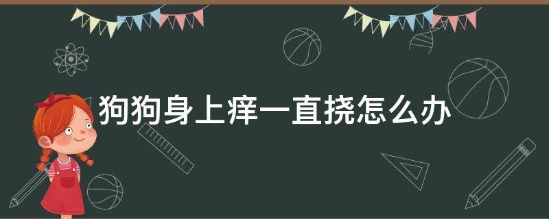 狗狗身上痒一直挠怎么办 狗狗身上痒一直挠怎么办脱毛