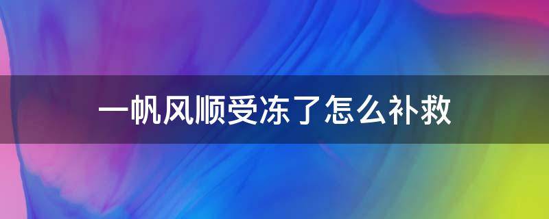 一帆风顺受冻了怎么补救（一帆风顺冻了还能活吗）